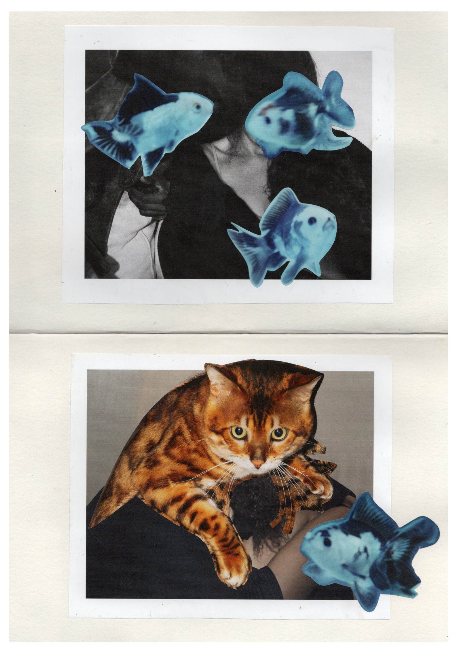 Two Polaroid-style images: one with a person holding blue fish and another with a cat on a shoulder.