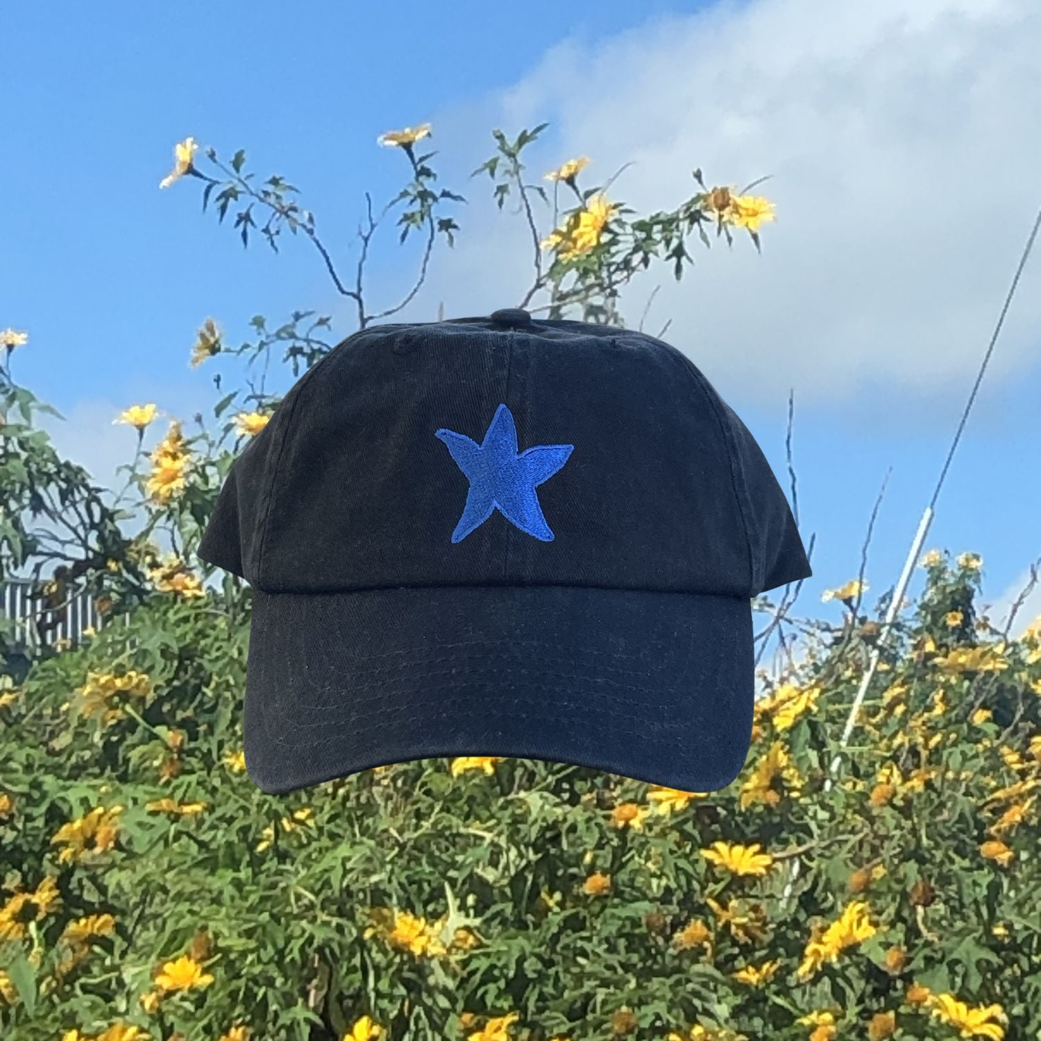 Star Cap in Black by Marley Alvarez — black cotton cap with blue starfish embroidery, styled outdoors