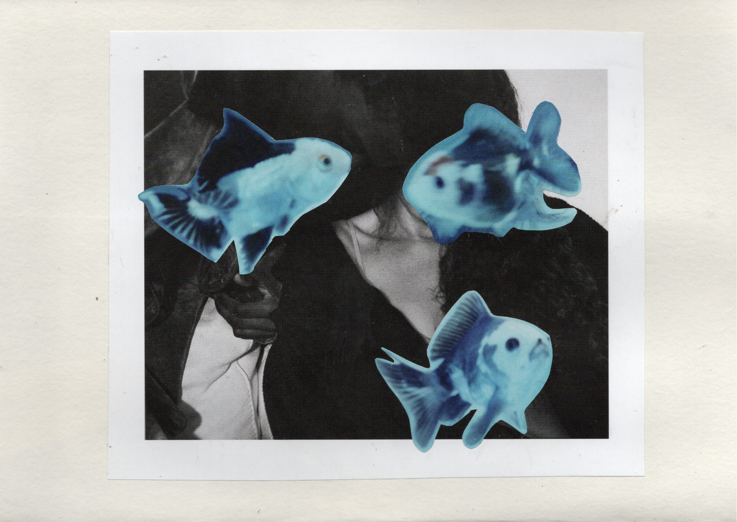 Two photo prints on a surface with blue fish stickers over them.